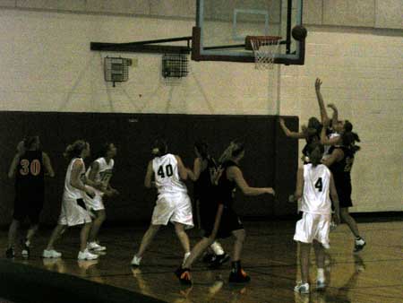 Picture 013